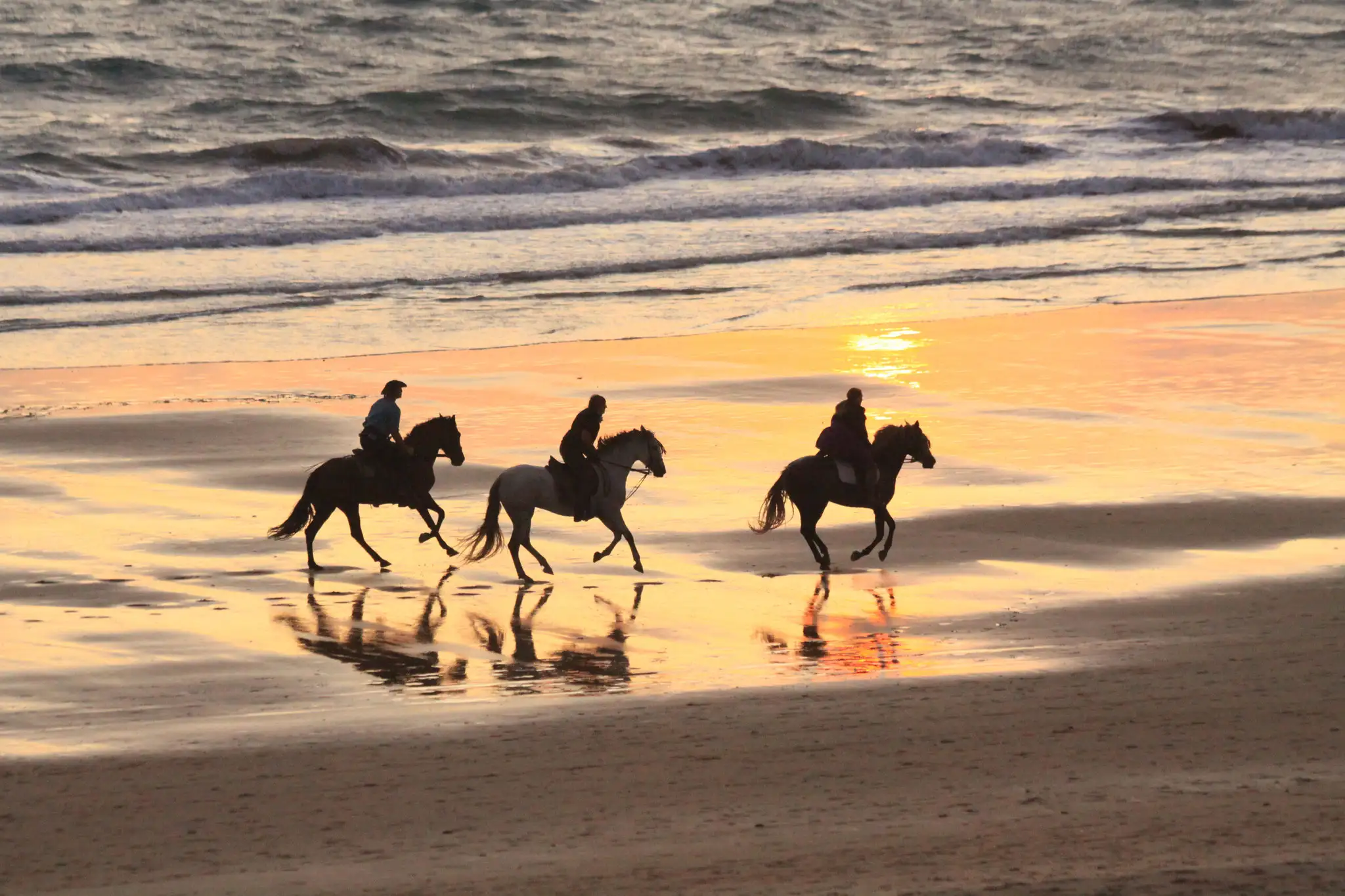 Trois cavaliers au galop sur une plage, au coucher du soleil
